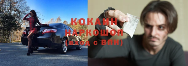 хмурый Бородино