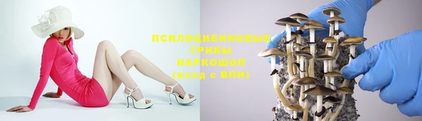 хмурый Бородино