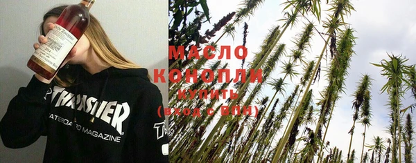 хмурый Бородино