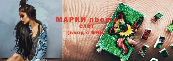 хмурый Бородино