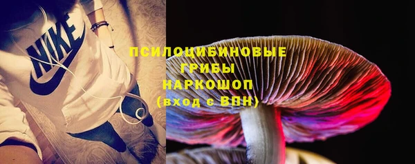 хмурый Бородино