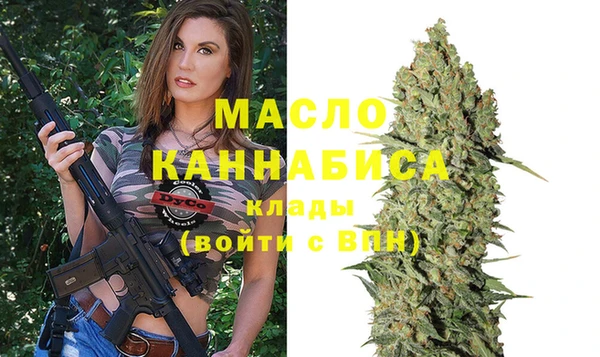 хмурый Бородино