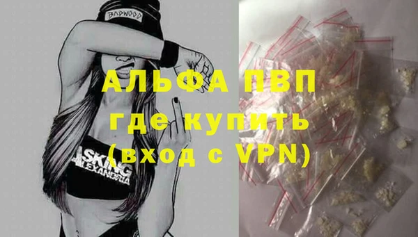 хмурый Бородино