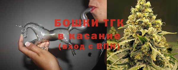 хмурый Бородино