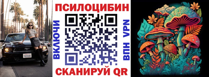 Псилоцибиновые грибы Psilocybine cubensis  Купить закладки  Козловка 