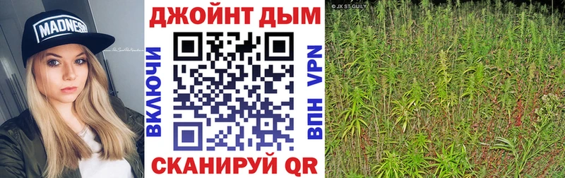 Каннабис MAZAR  Купить закладки  Козловка 